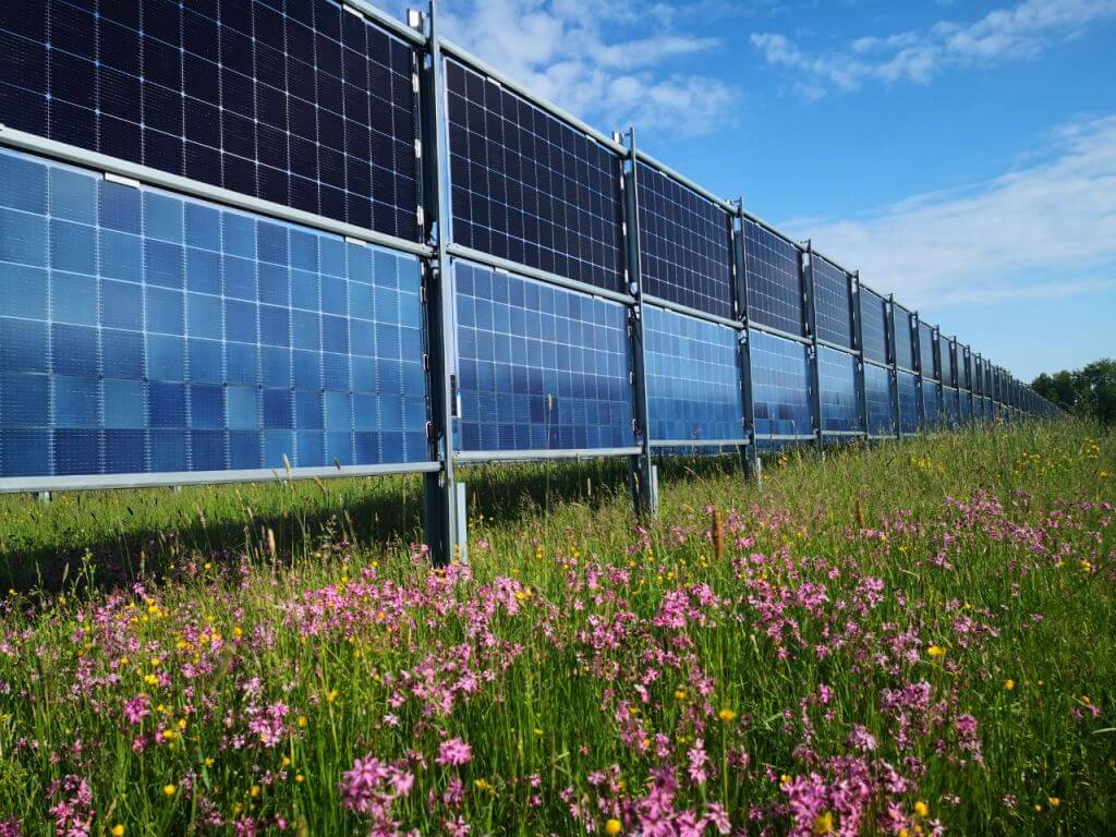 Photovoltaik-Blumenwiese